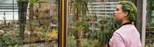 Visuel thématique société: éducation, santé, environnement